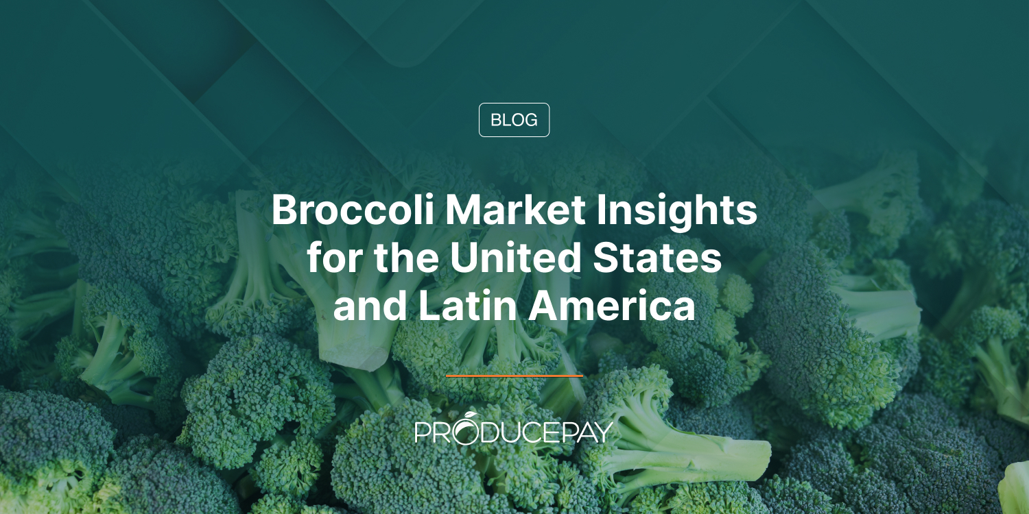 Broccoli Market Insights for the United States and Latin America