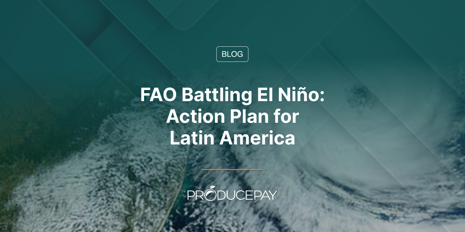 FAO Battling El Niño: Action Plan for Latin America