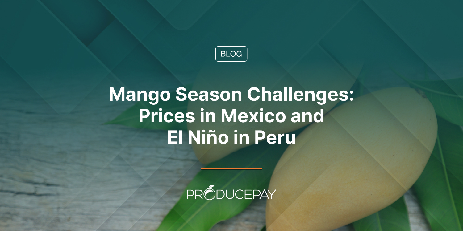 Mango Season Challenges: Prices in Mexico and El Niño in Peru