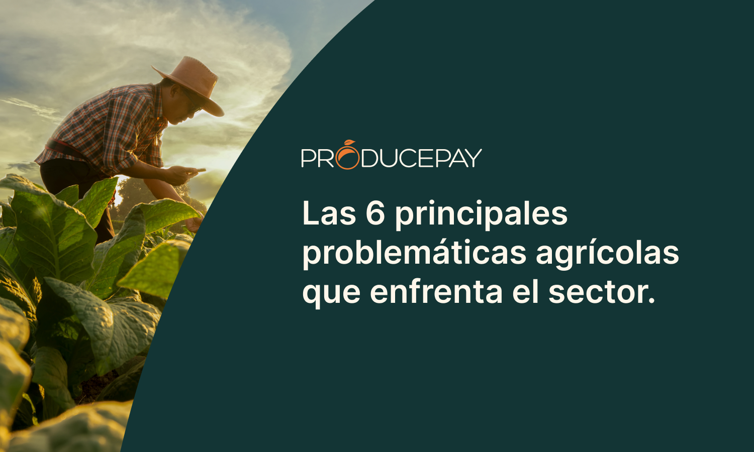 Problematicas agricolas