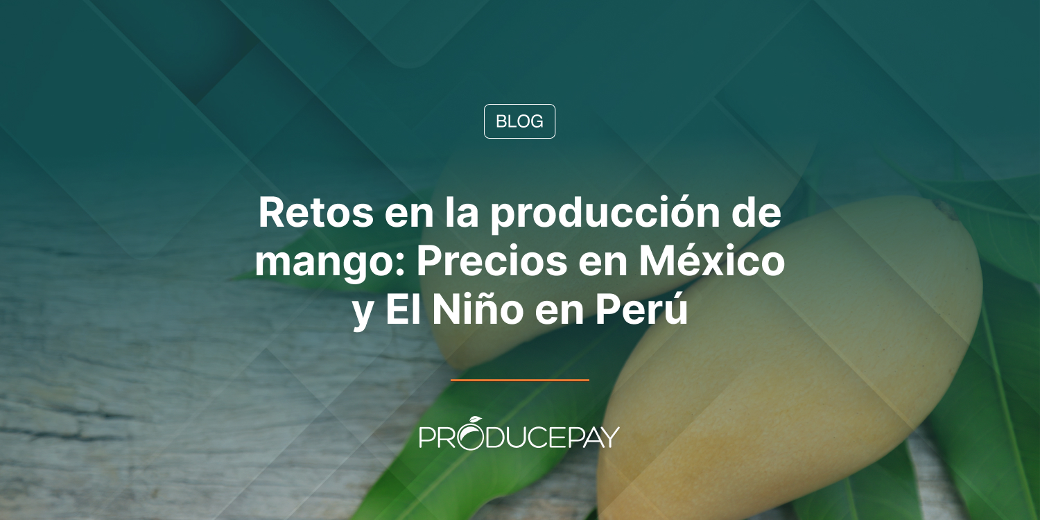 Retos en la producción de mango: Precios en México y El Niño en Perú