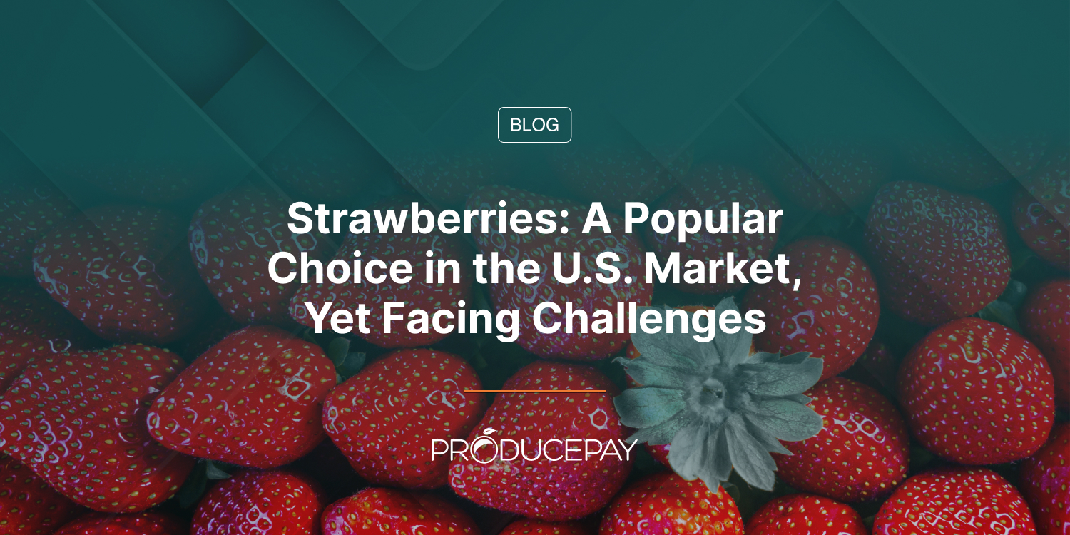 Strawberries: A Popular Choice in the U.S. Market, Yet Facing Challenges