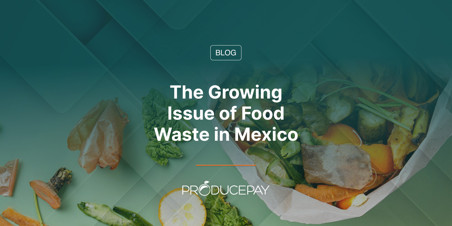 The Growing Issue of Food Waste in Mexico
