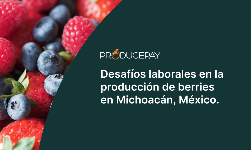berries en michoacian