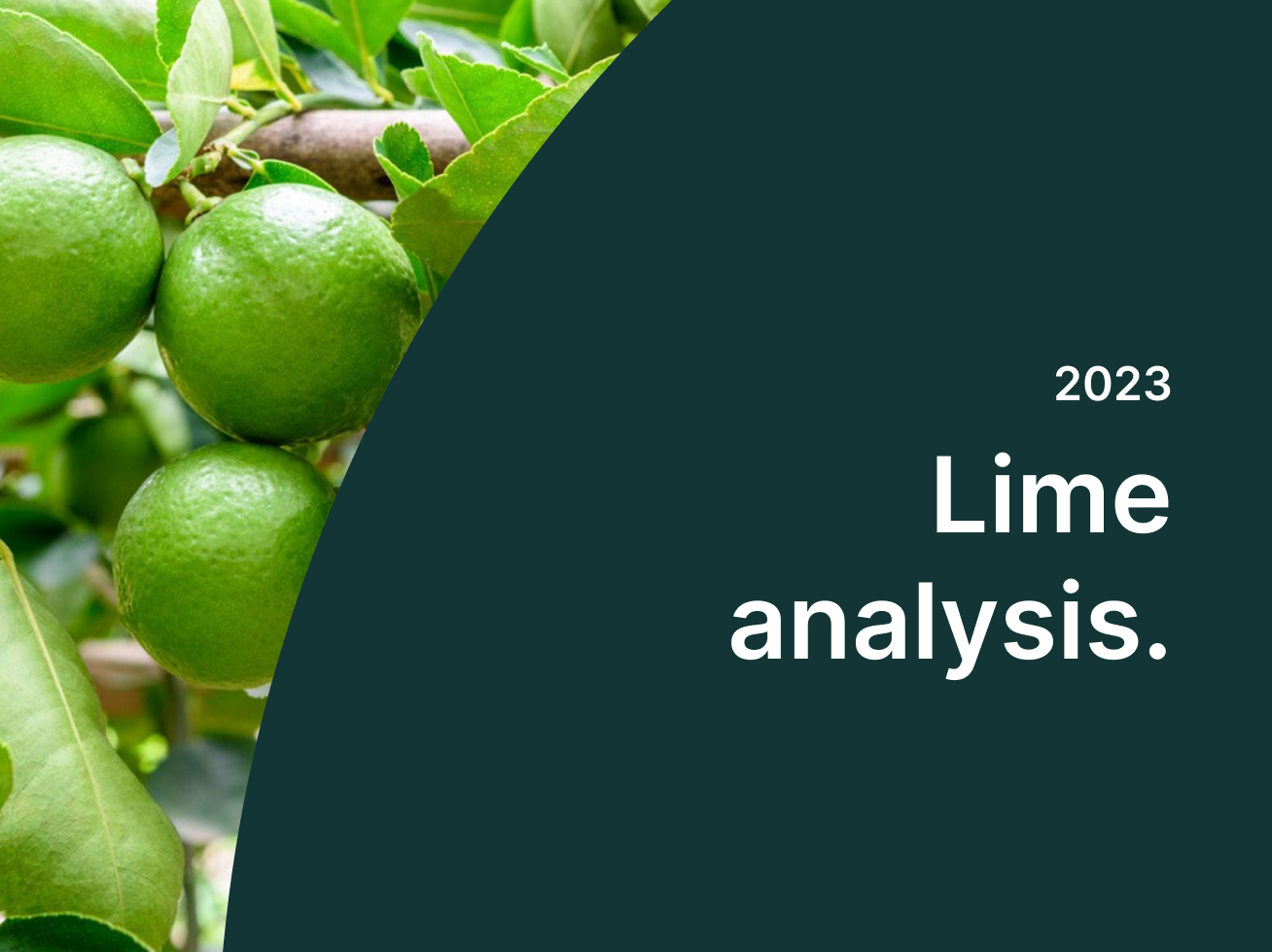 lime-analysis