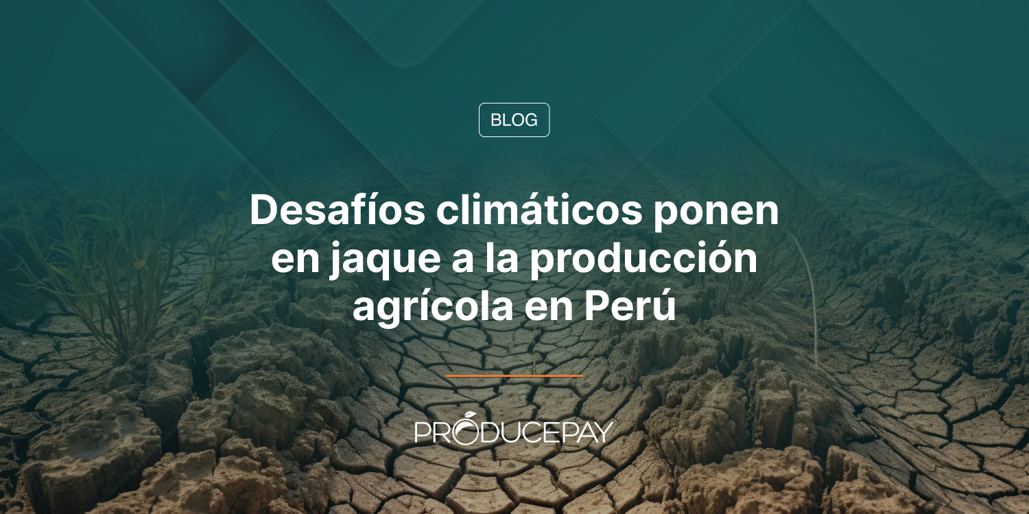 Desafíos climáticos ponen en jaque a la producción agrícola en Perú