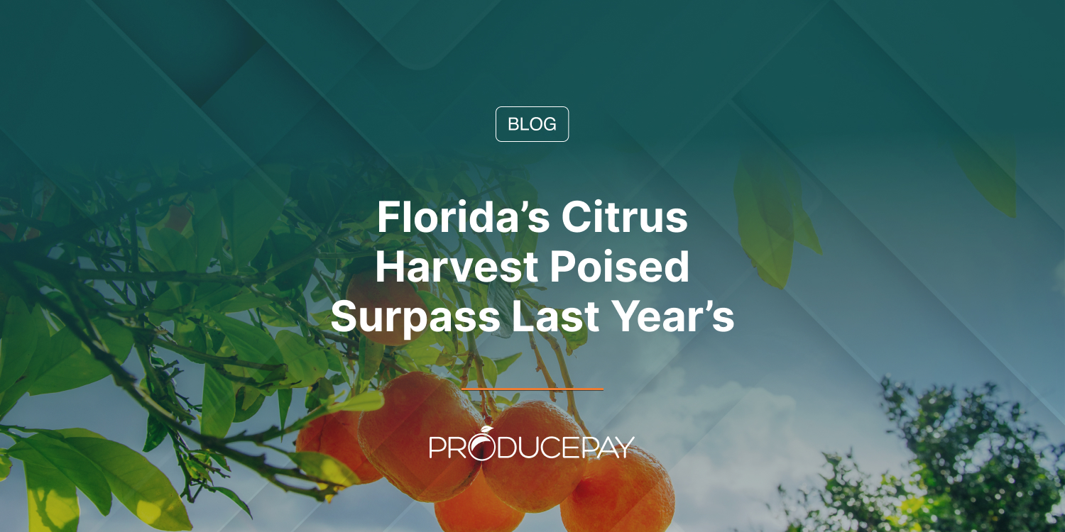 Florida’s Citrus Harvest Poised Surpass Last Year’s