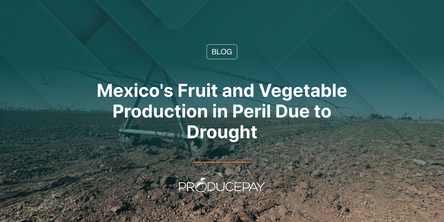 Mexico’s Fruit and Vegetable Production in Peril Due to Drought