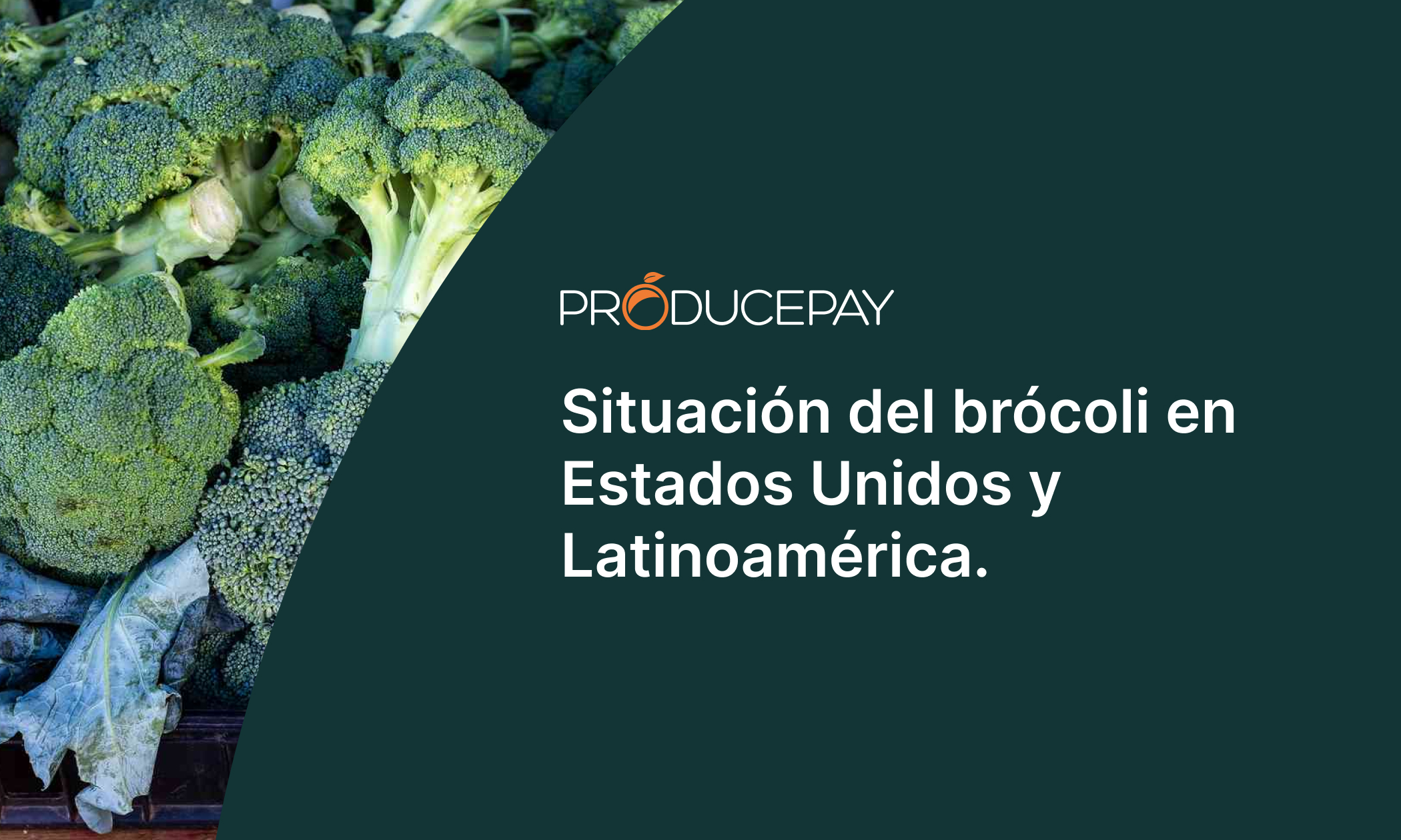 situation-del-broccoli