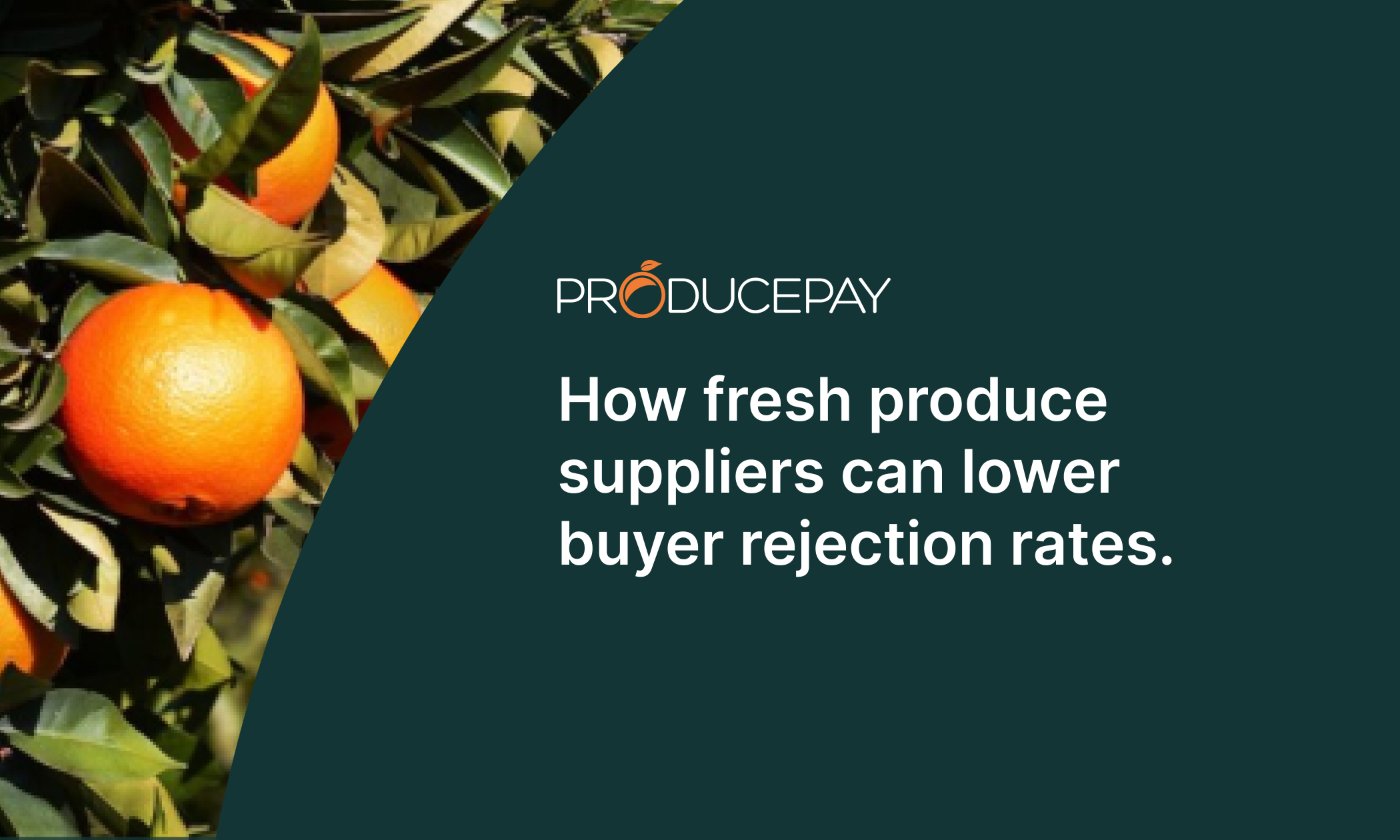 How fresh produce suppliers can lower buyer rejection rates