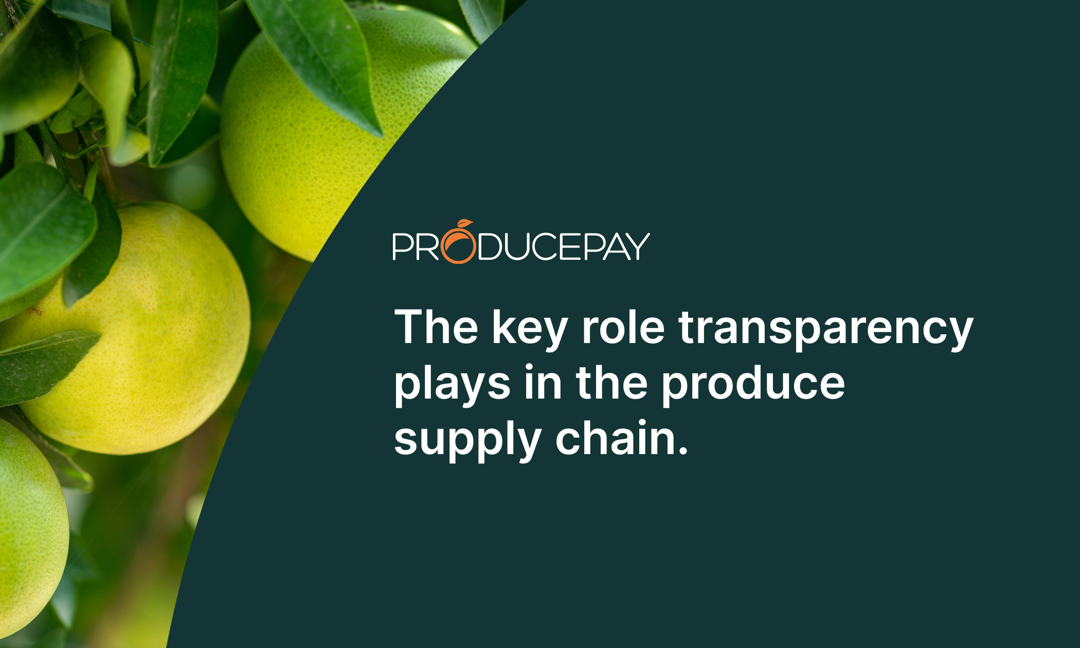 transparency in supply chain EN(2)