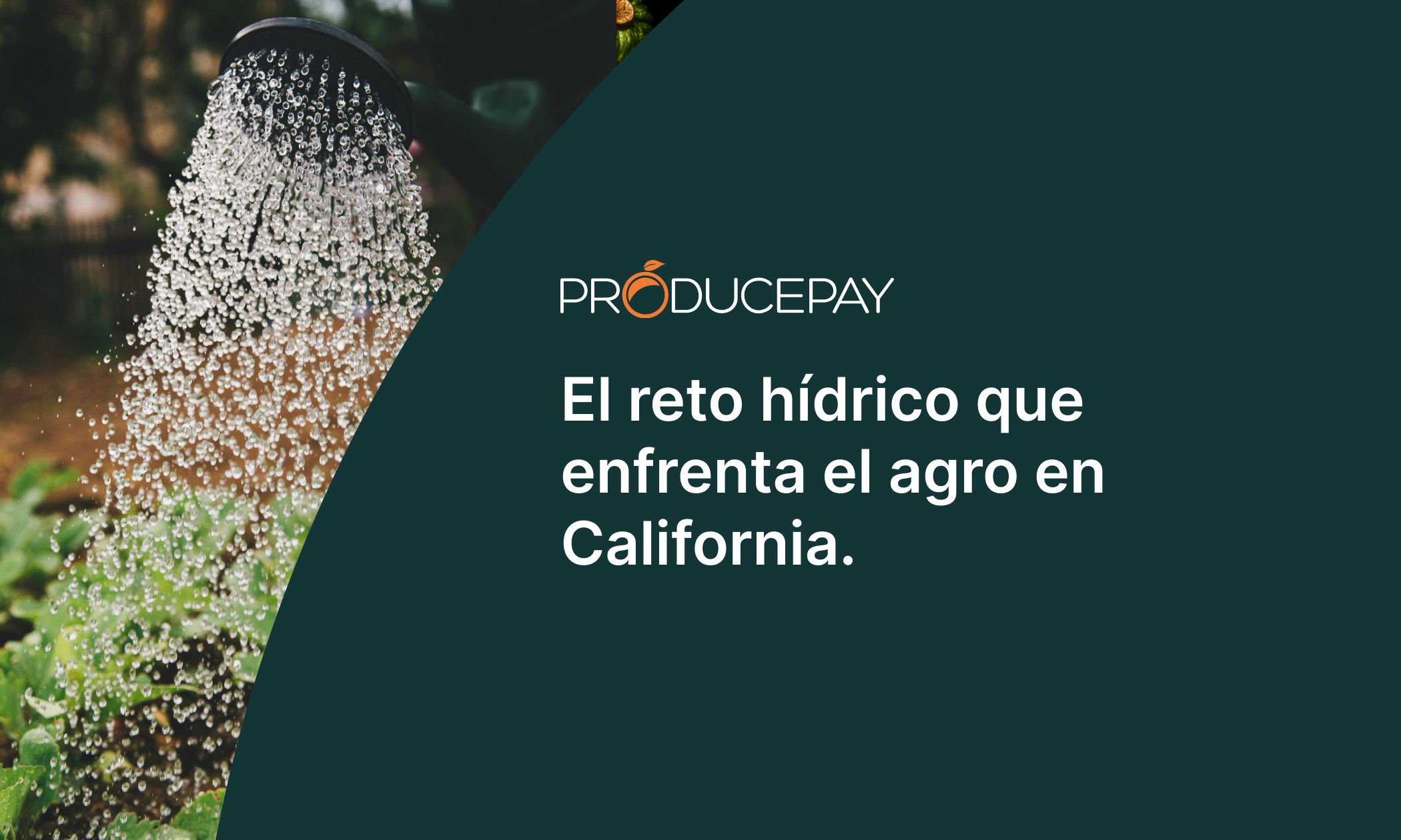 El reto hídrico que enfrenta el agro en California