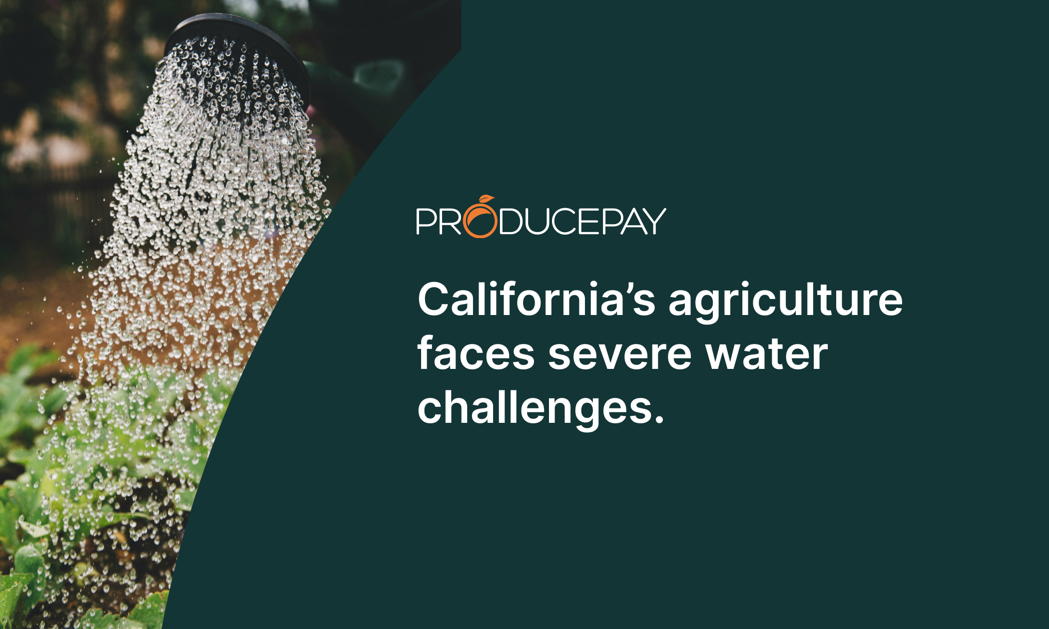 HT _ California agriculture faces severe water challenges_En