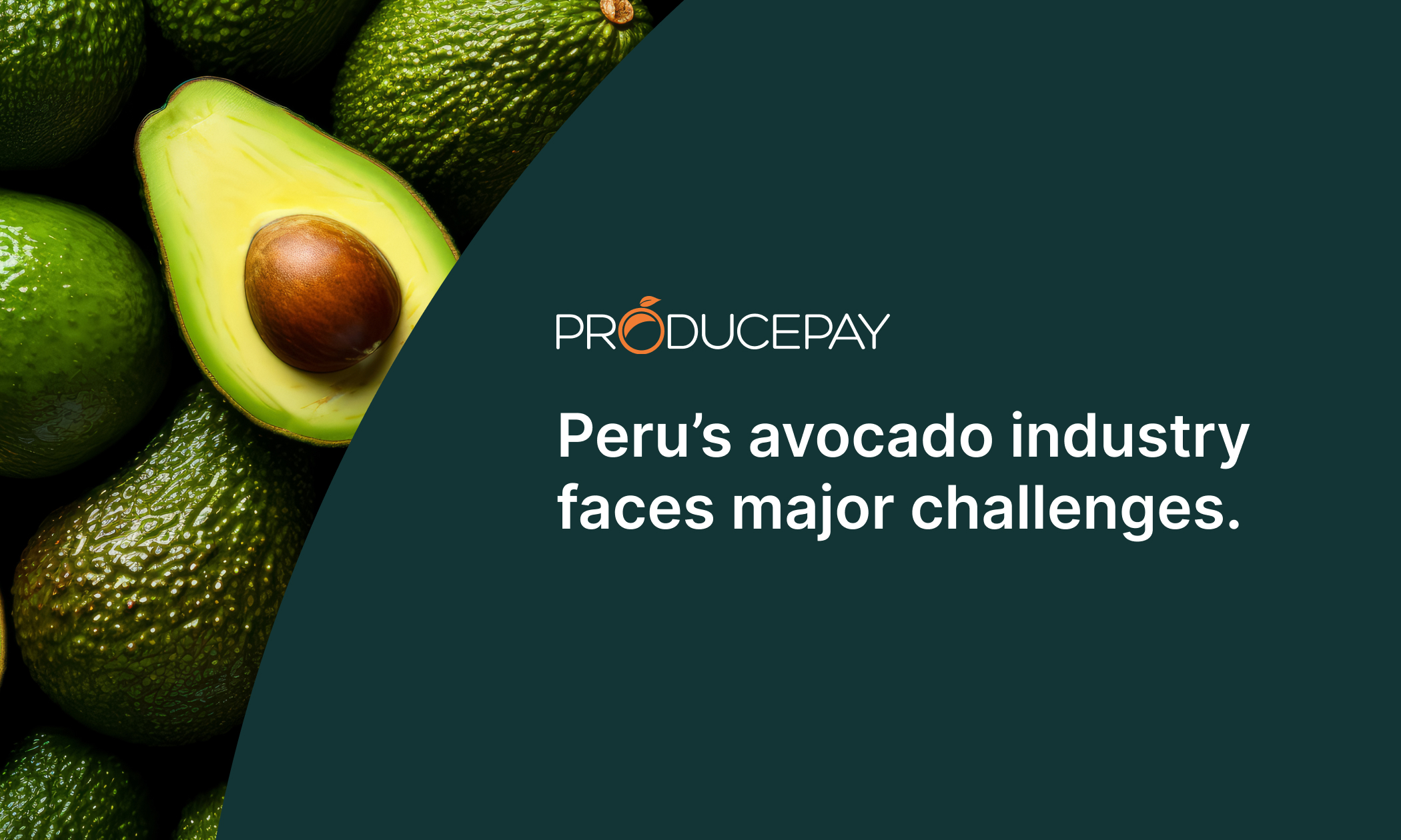 Peru’s avocado industry faces major challenges