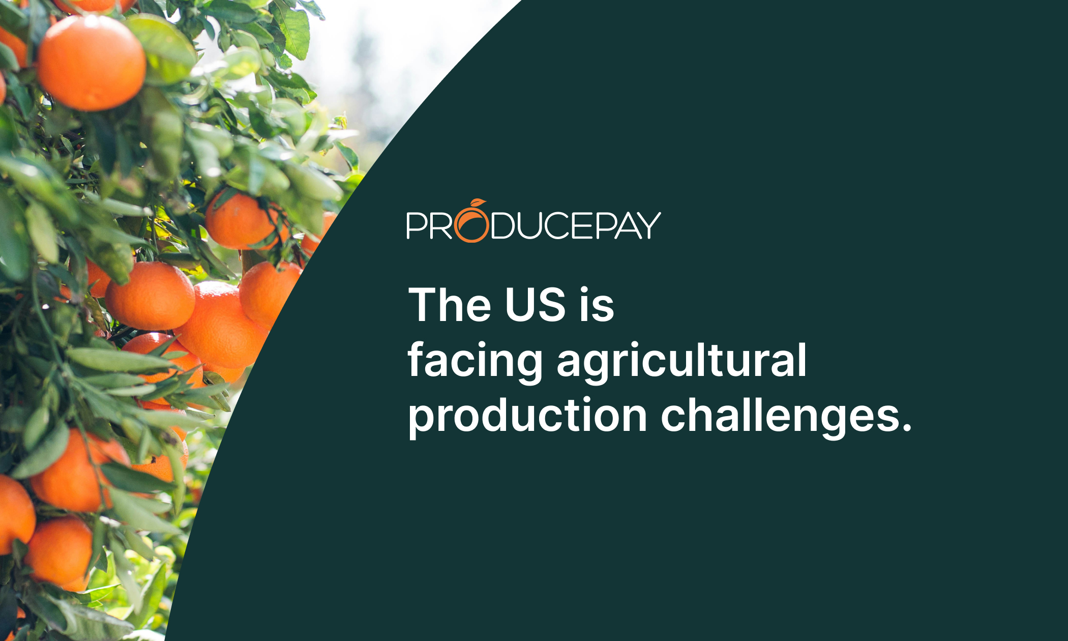 The US is facing agricultural production challenges