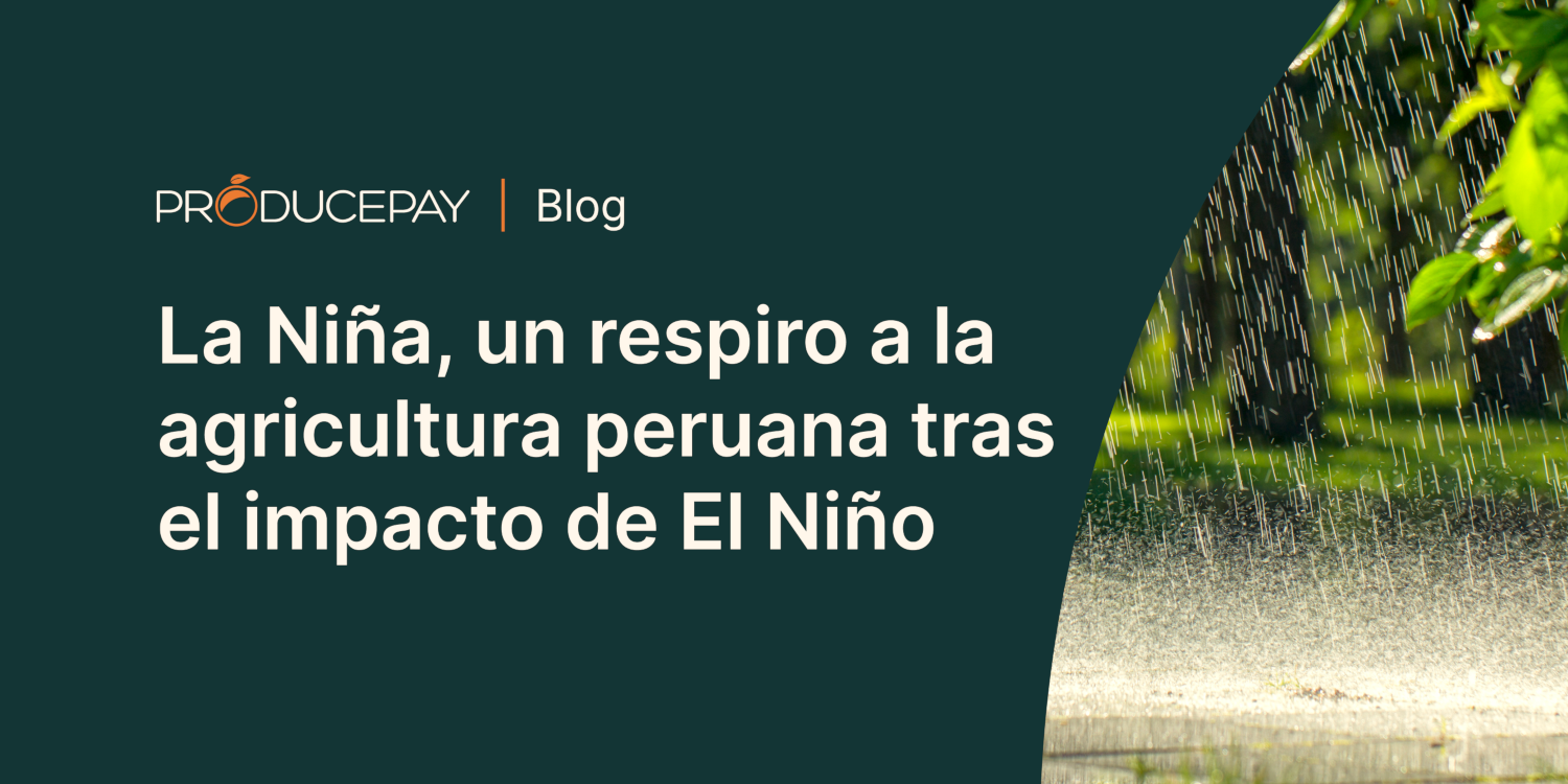 La Niña, un respiro a la agricultura peruana tras el impacto de El Niño