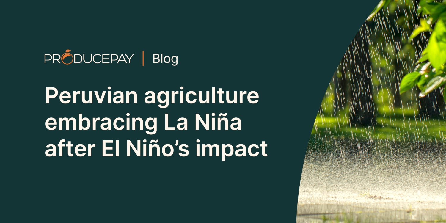 Peruvian agriculture embracing La Niña after El Niño’s impact