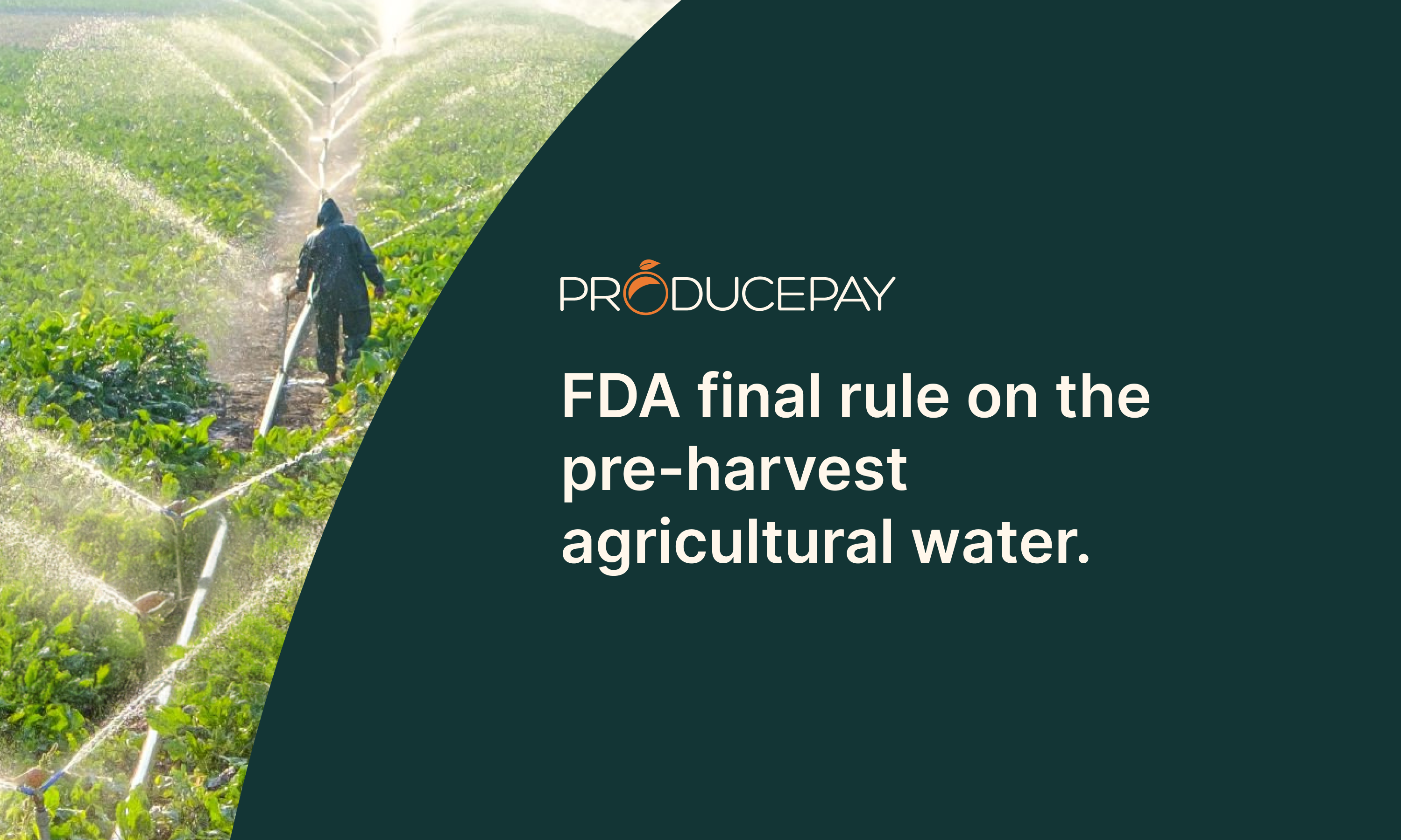 HT-FDA-rule-preharvest-water-EN