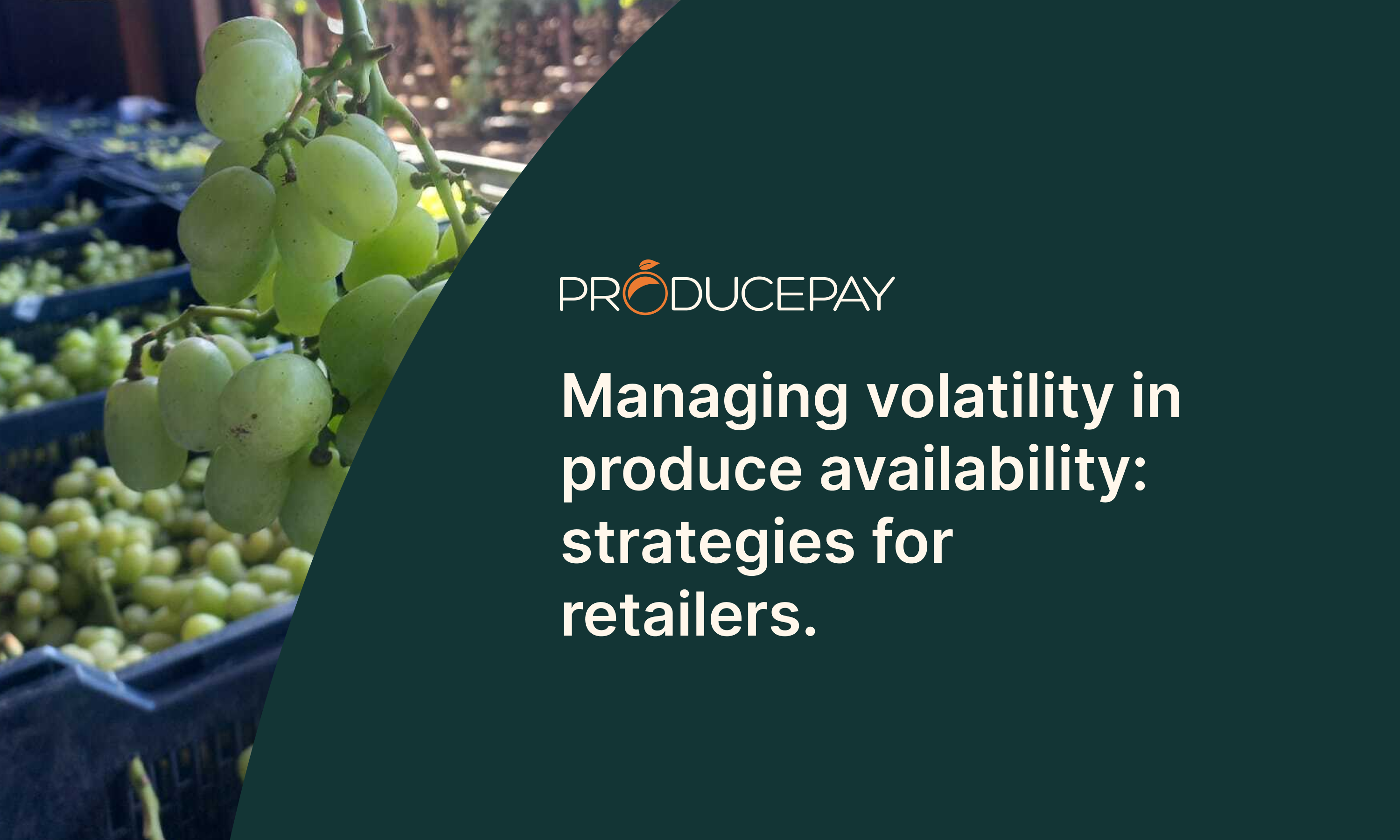 Managing-volatility-in-produce-availability-strategies-for-retailers