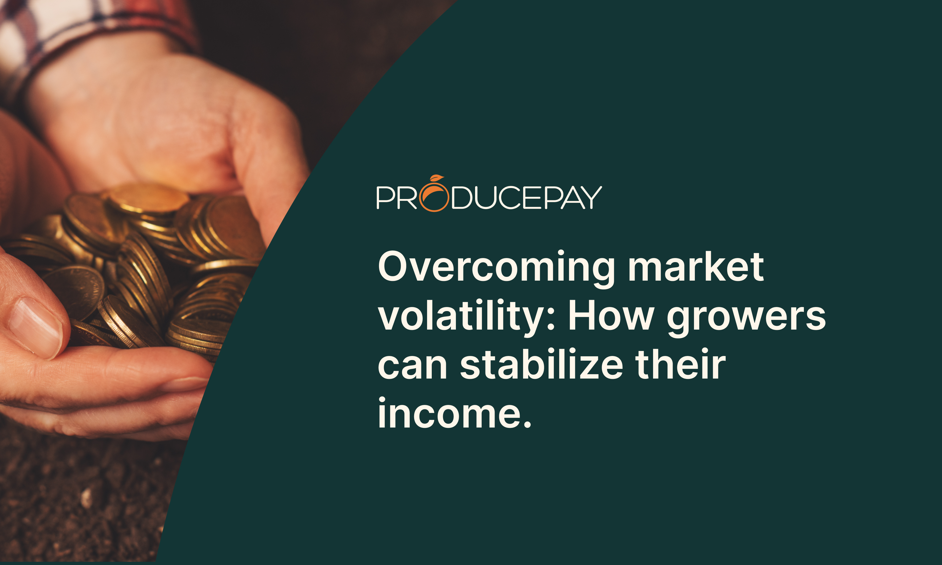 Overcoming-market-volatility-How-growers-can-stabilize-their-income