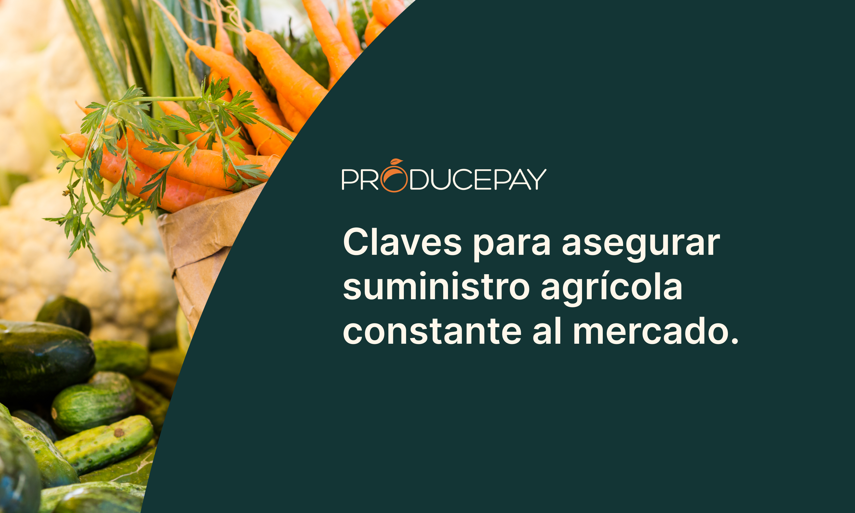 Claves para asegurar suministro agrícola al mercado