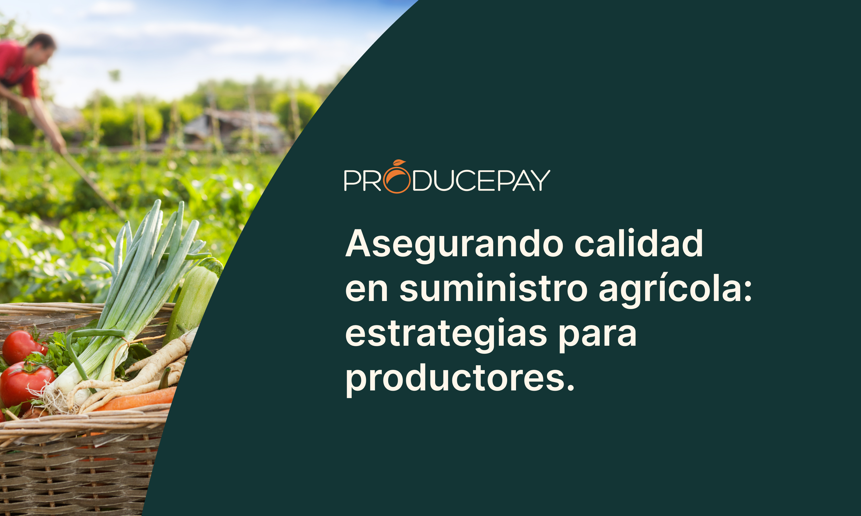 Asegurando calidad en suministro agricola estrategias para productores