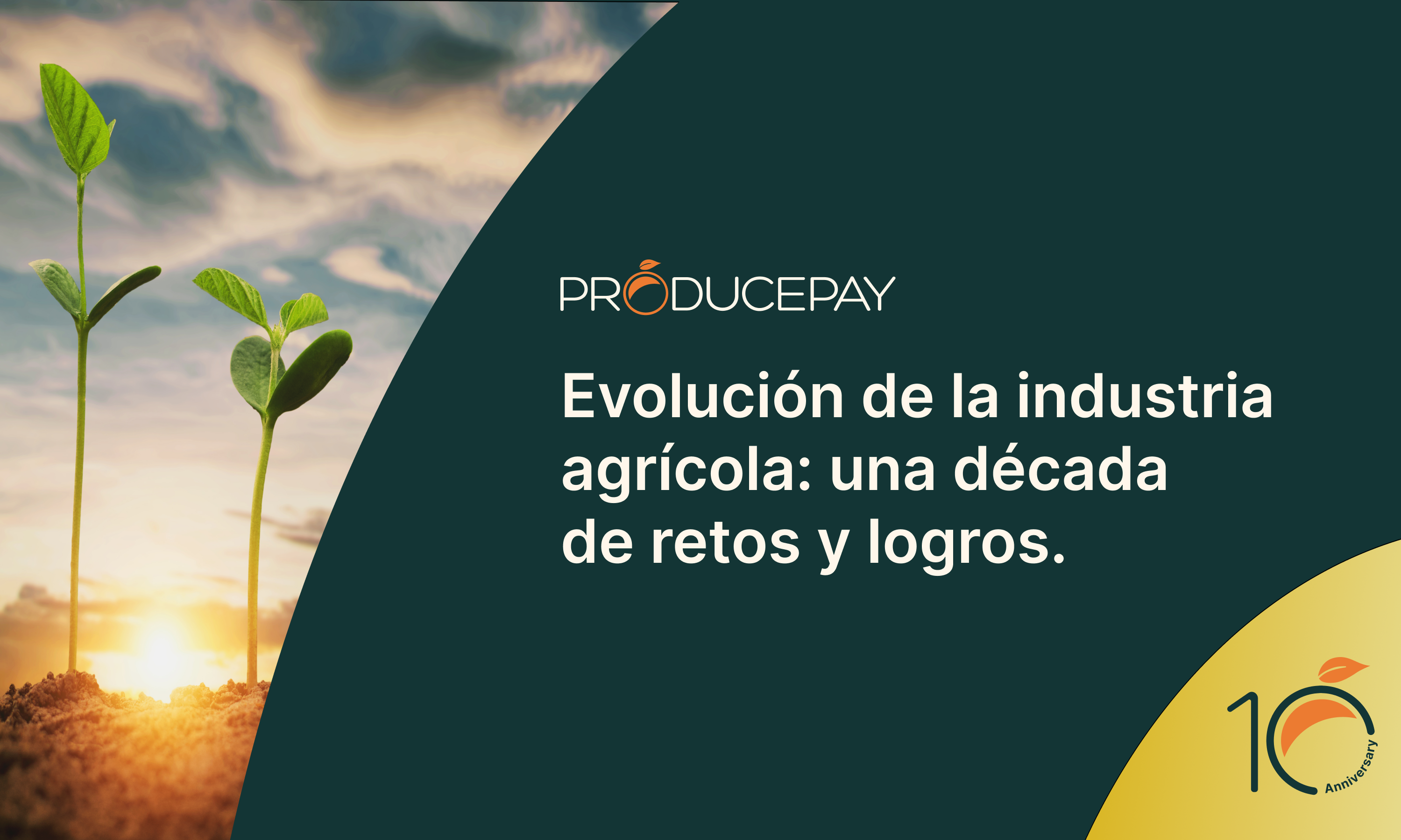 Evolución de la industria agrícola: una década de retos y logros