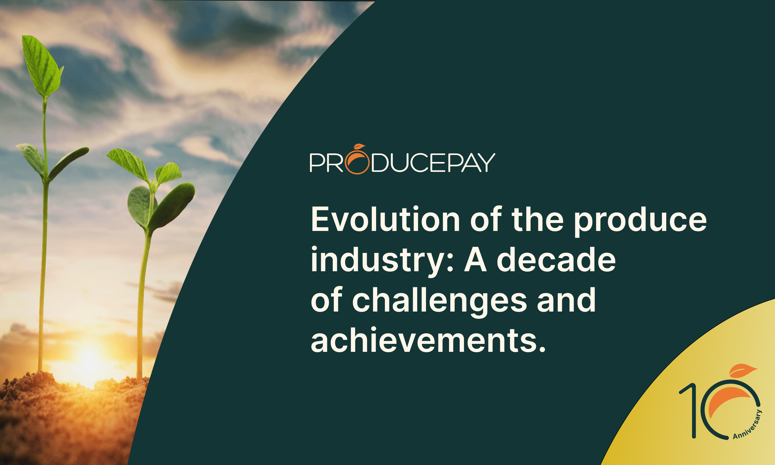 Evolution of the produce industry A decade of challenges and achievements