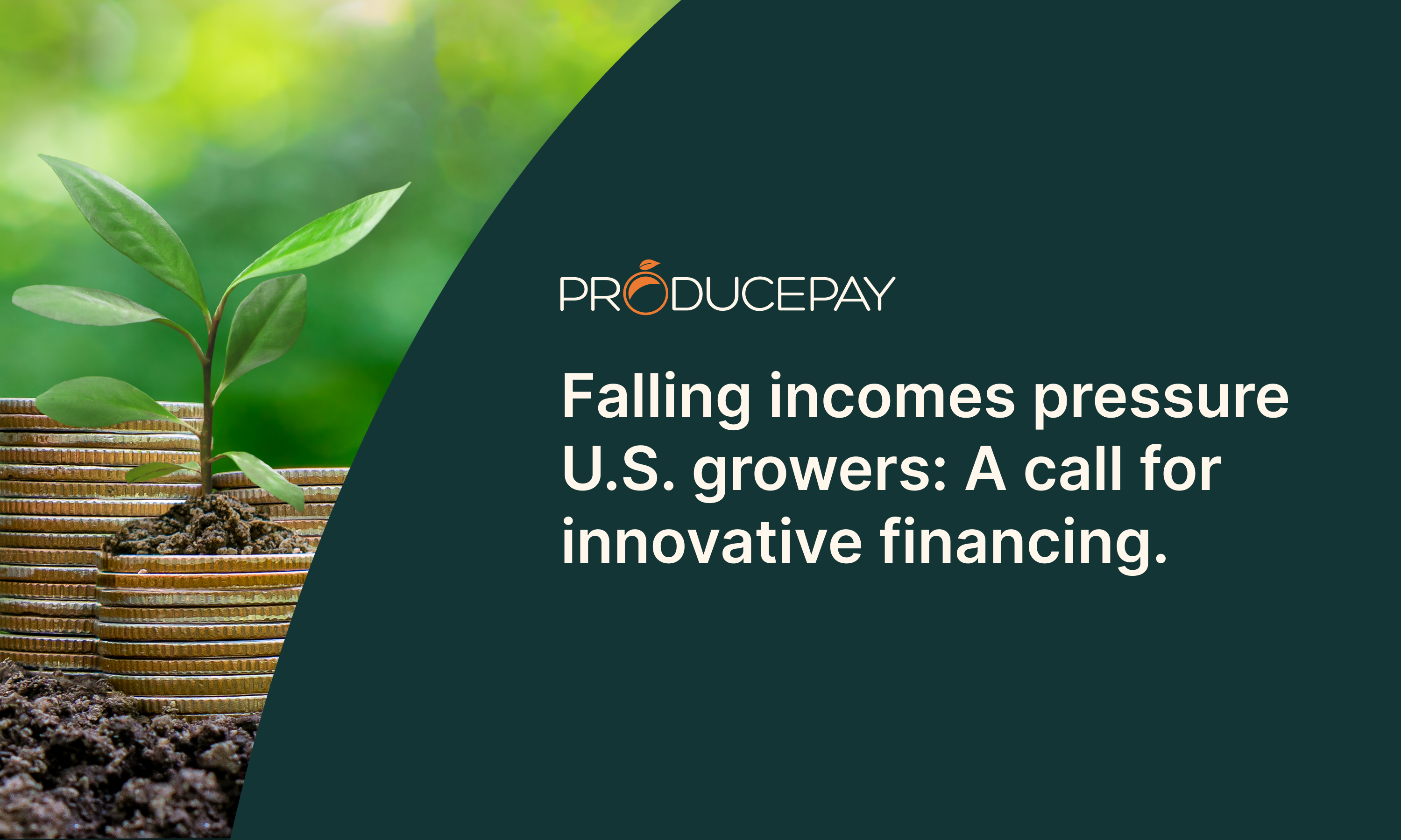 Falling incomes pressure U.S. growers: A call for innovative financing