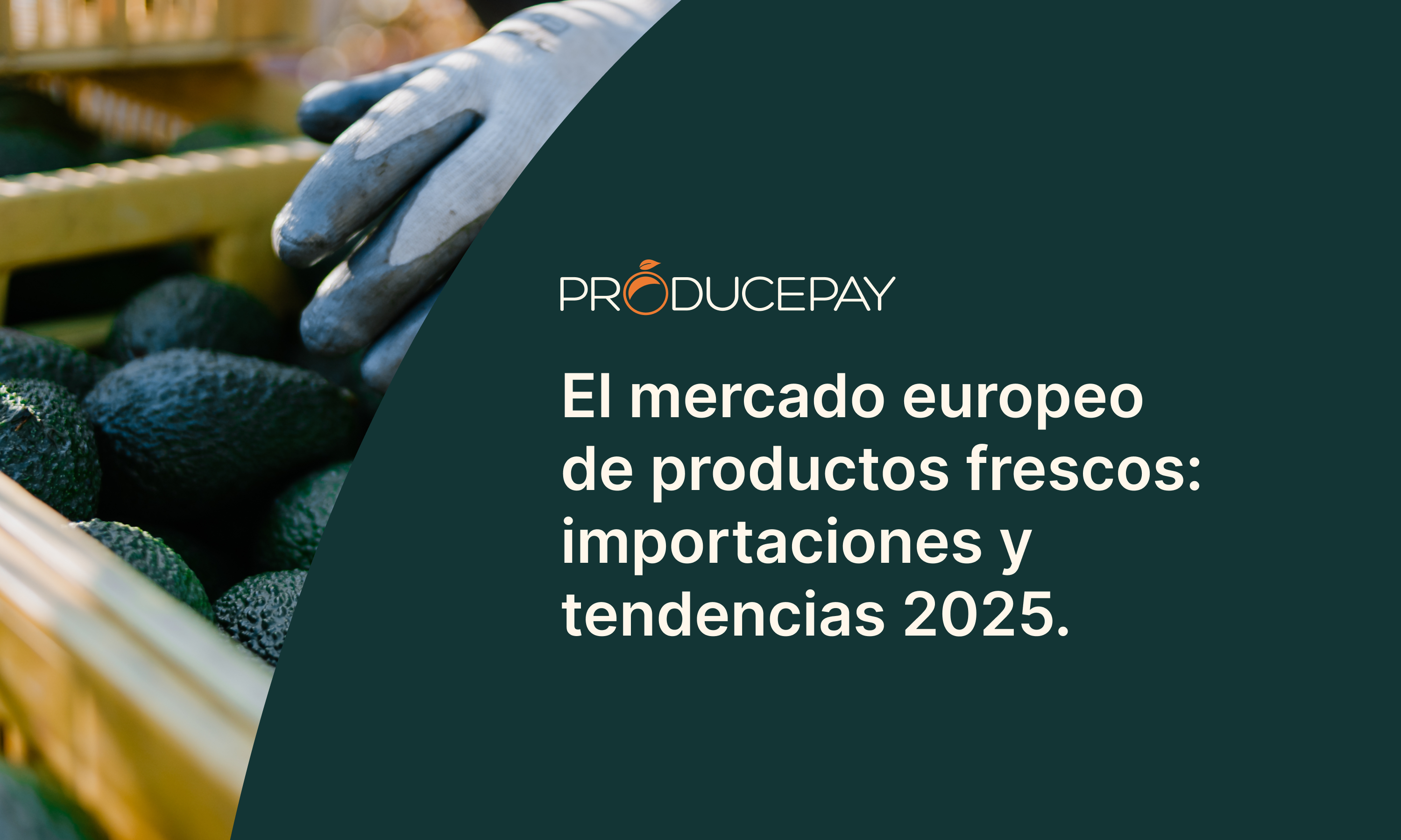 El mercado europeo de productos frescos: importaciones y tendencias para 2025