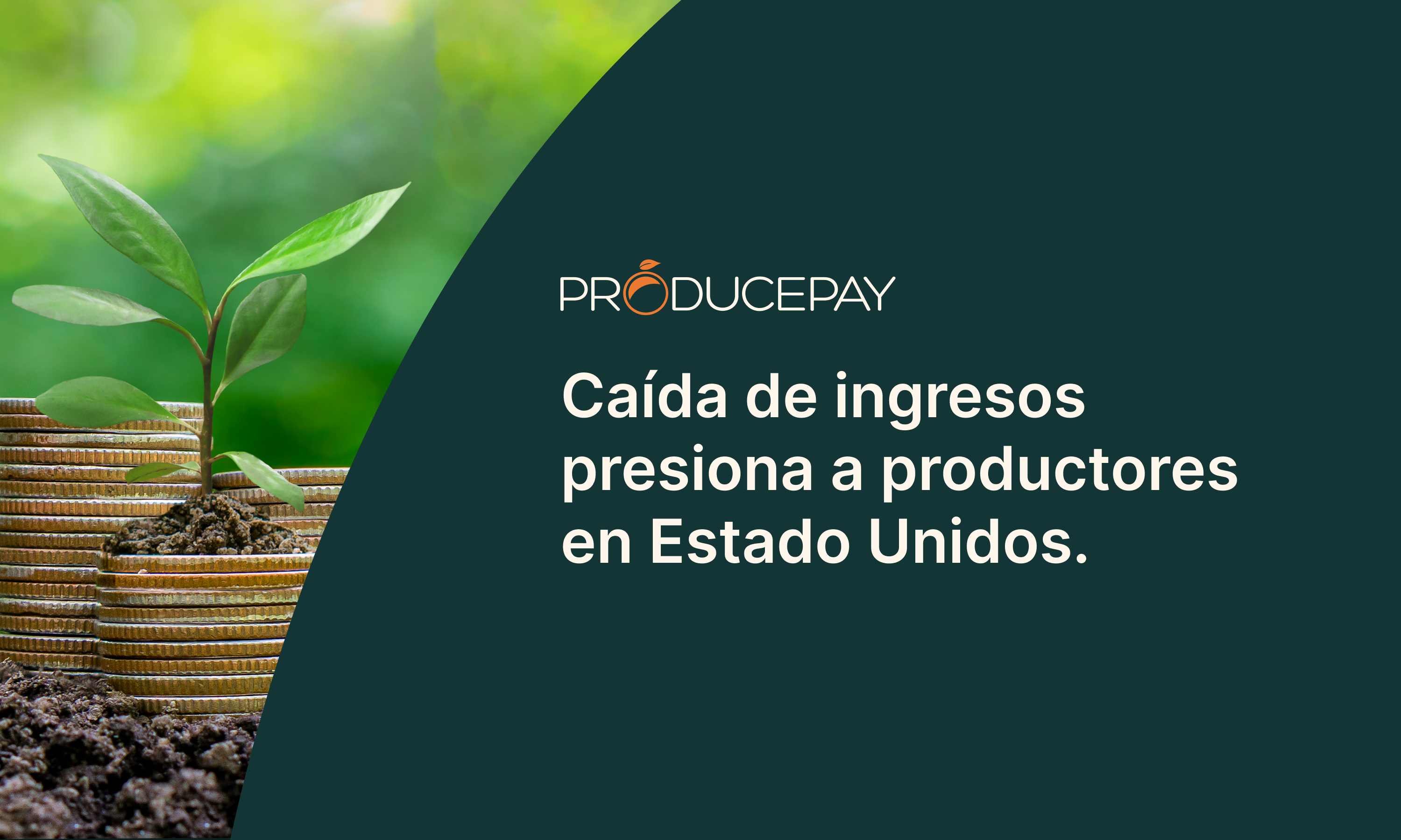 Caída de ingresos presiona a agricultores en EE. UU.: necesidad de financiamientos innovadores