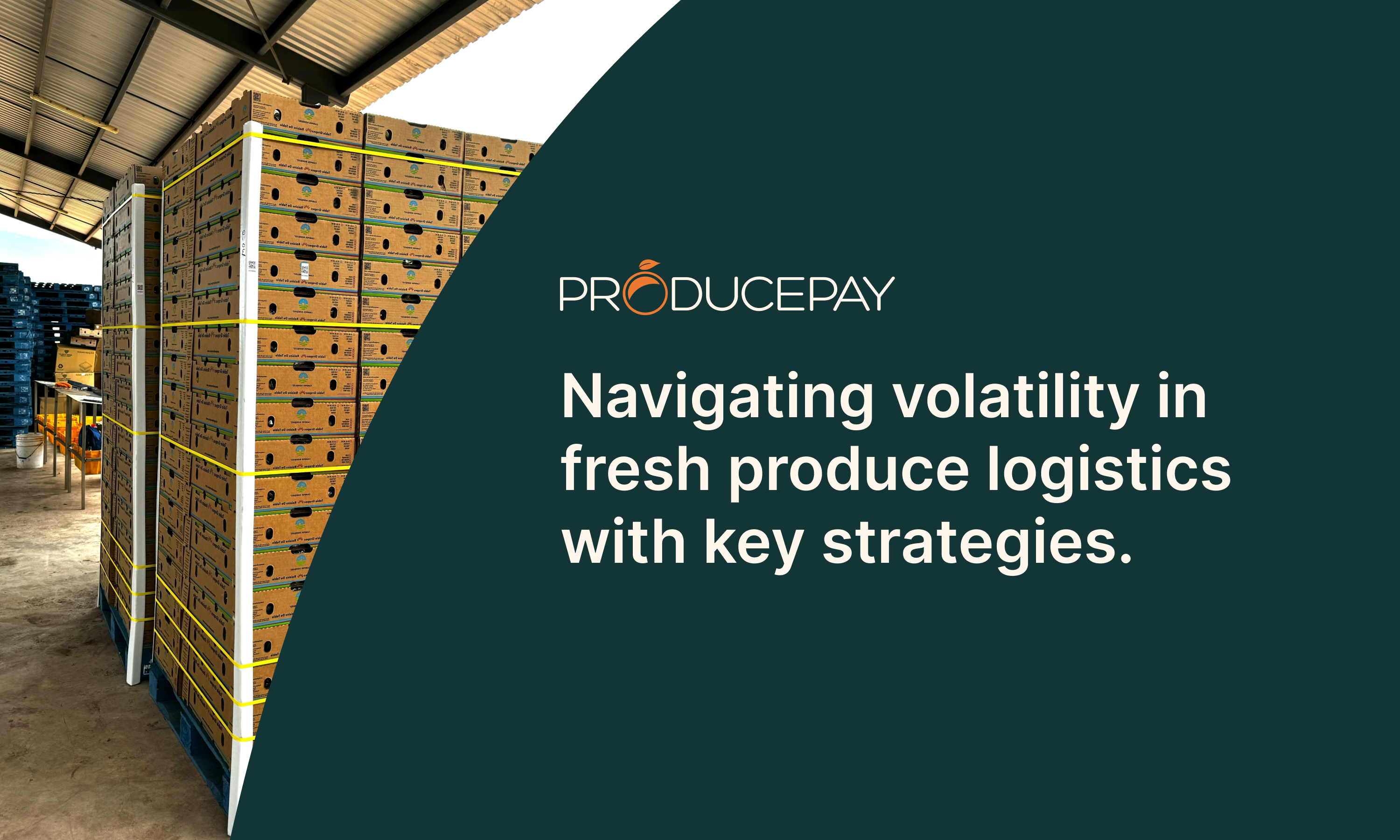 Navigating volatility in fresh produce logistics with key strategies