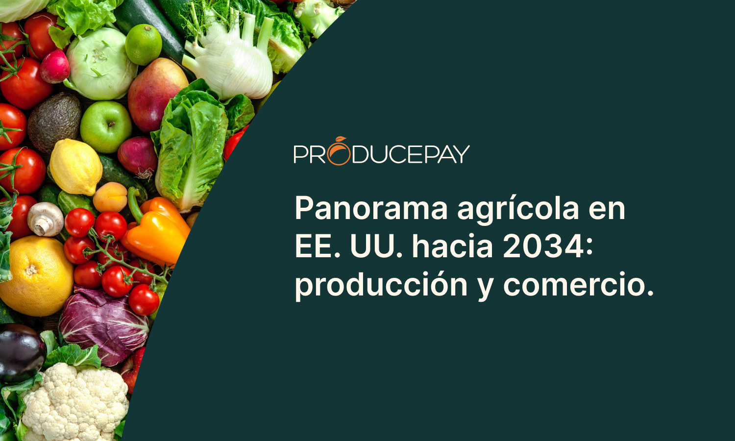 Panorama agricola Estados Unidos 2034 producción exportaciones importaciones