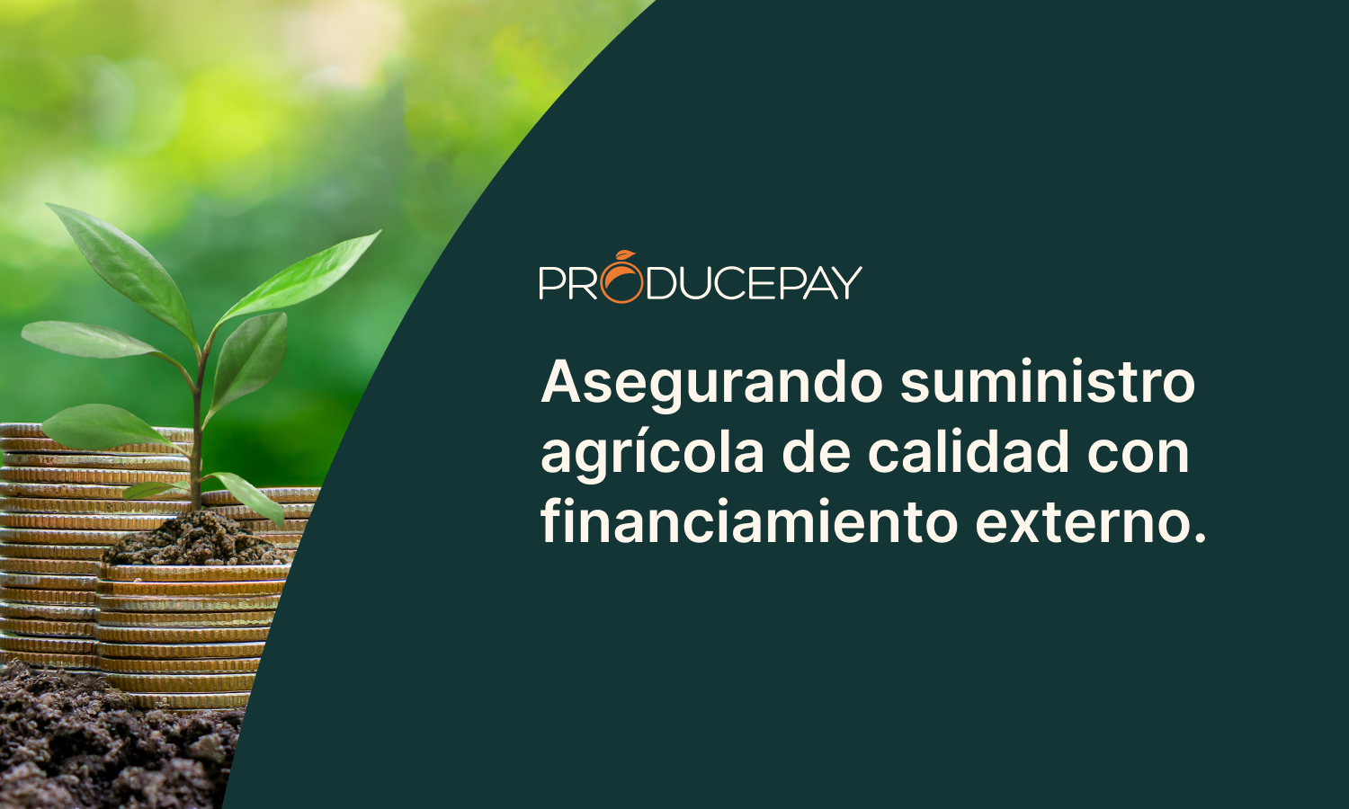 Asegurando suministro agrícola con financiamiento externo