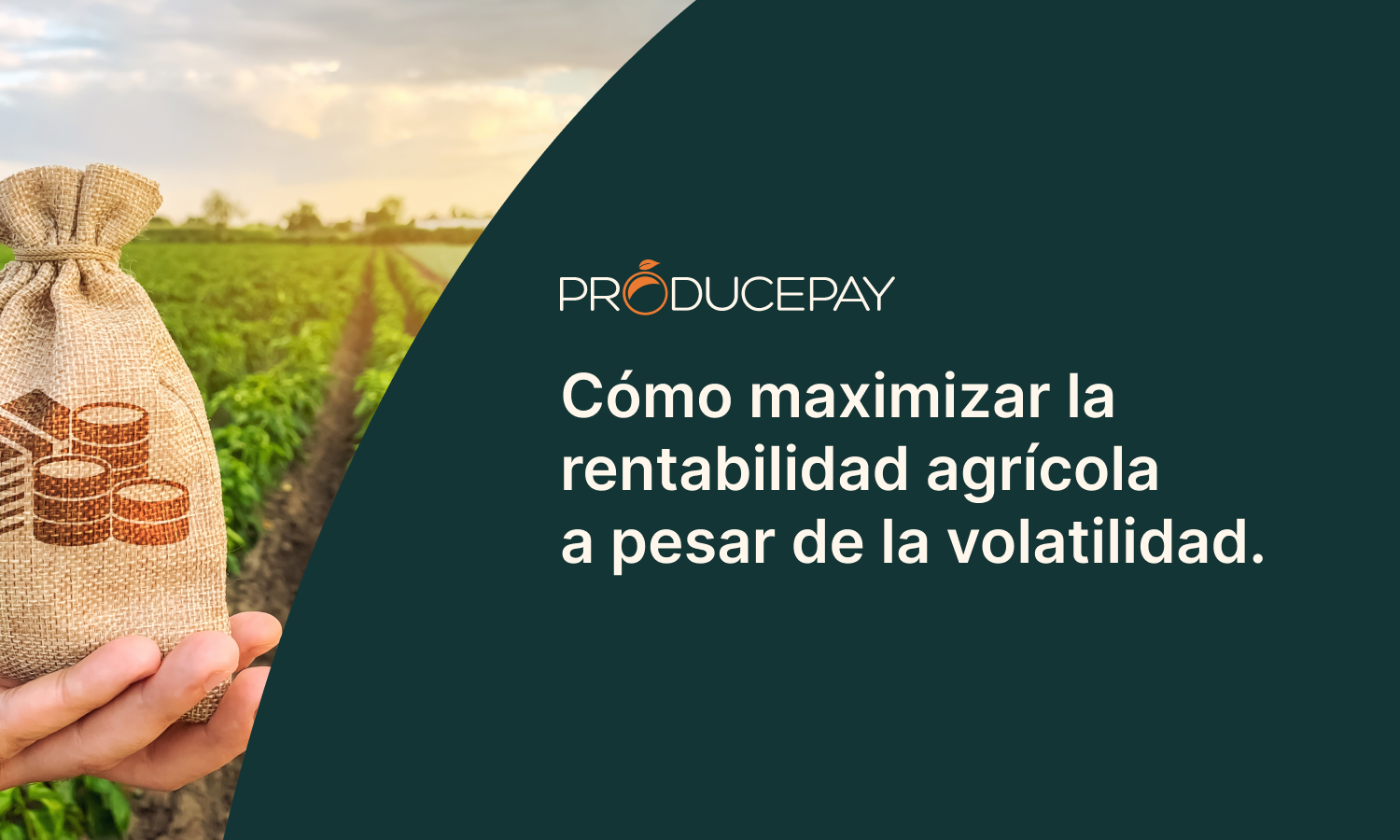 Maximizar rentabilidad agricola