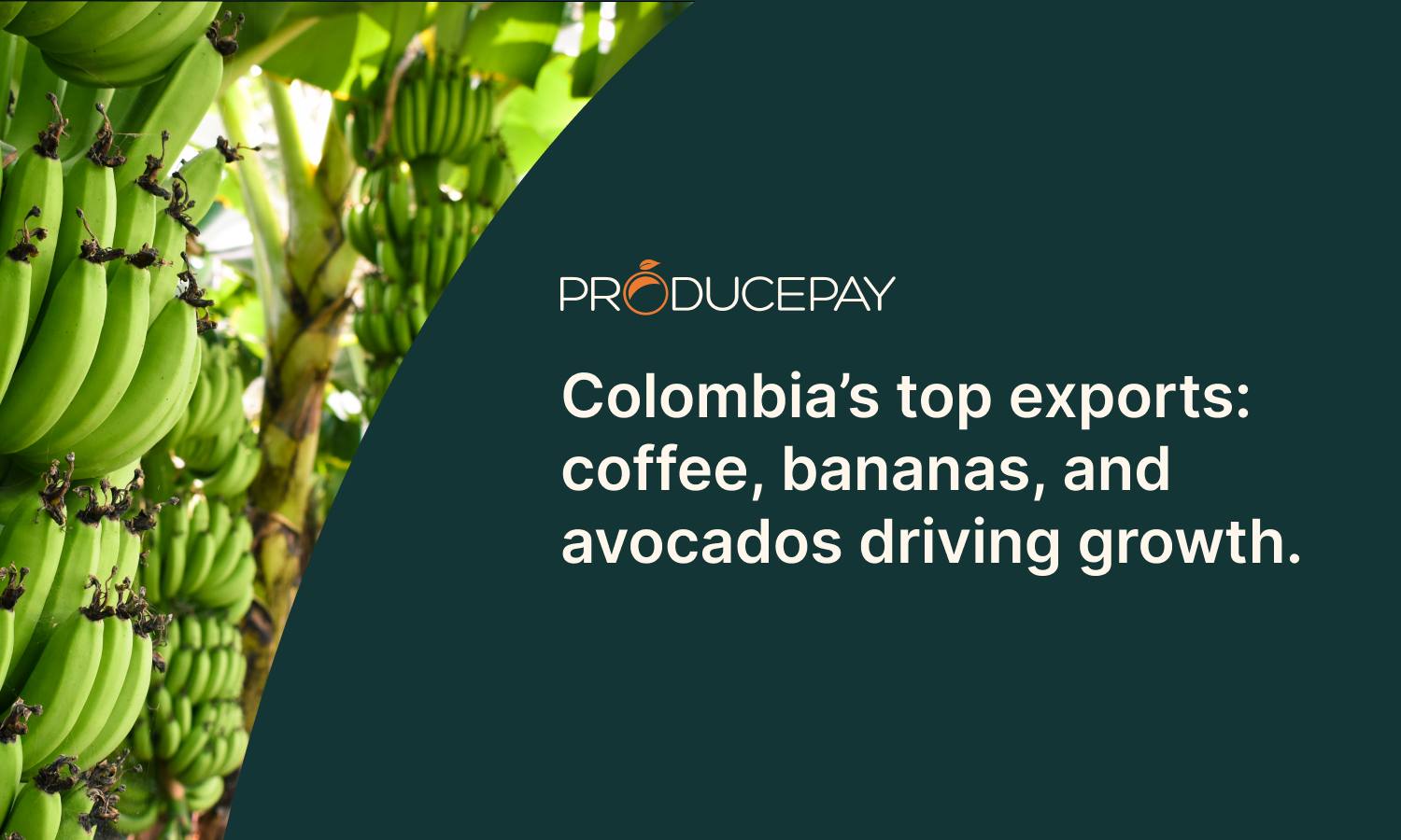 Colombia agricultural exports: coffee, bananas, avocados