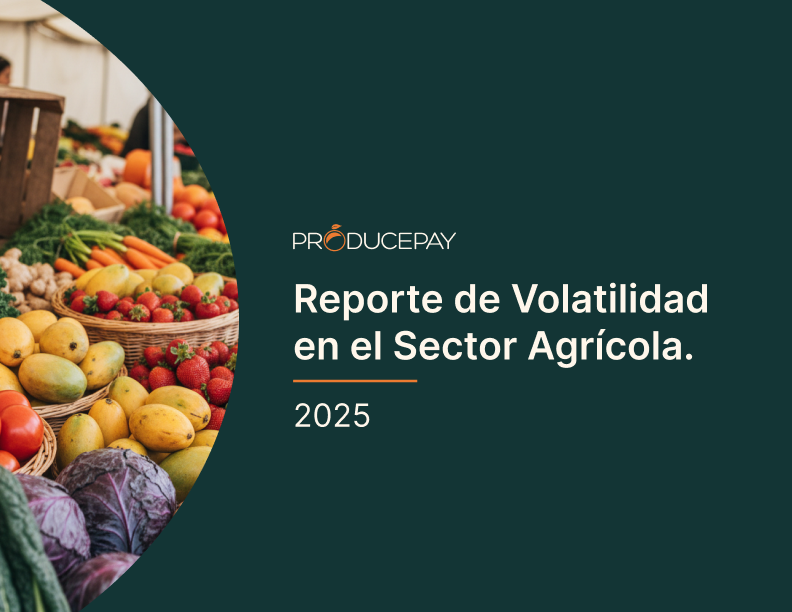 Reporte Volatilidad 2025 Portada