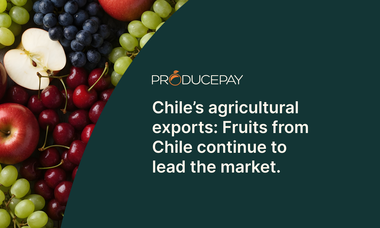 Chile agricultural exports 2024