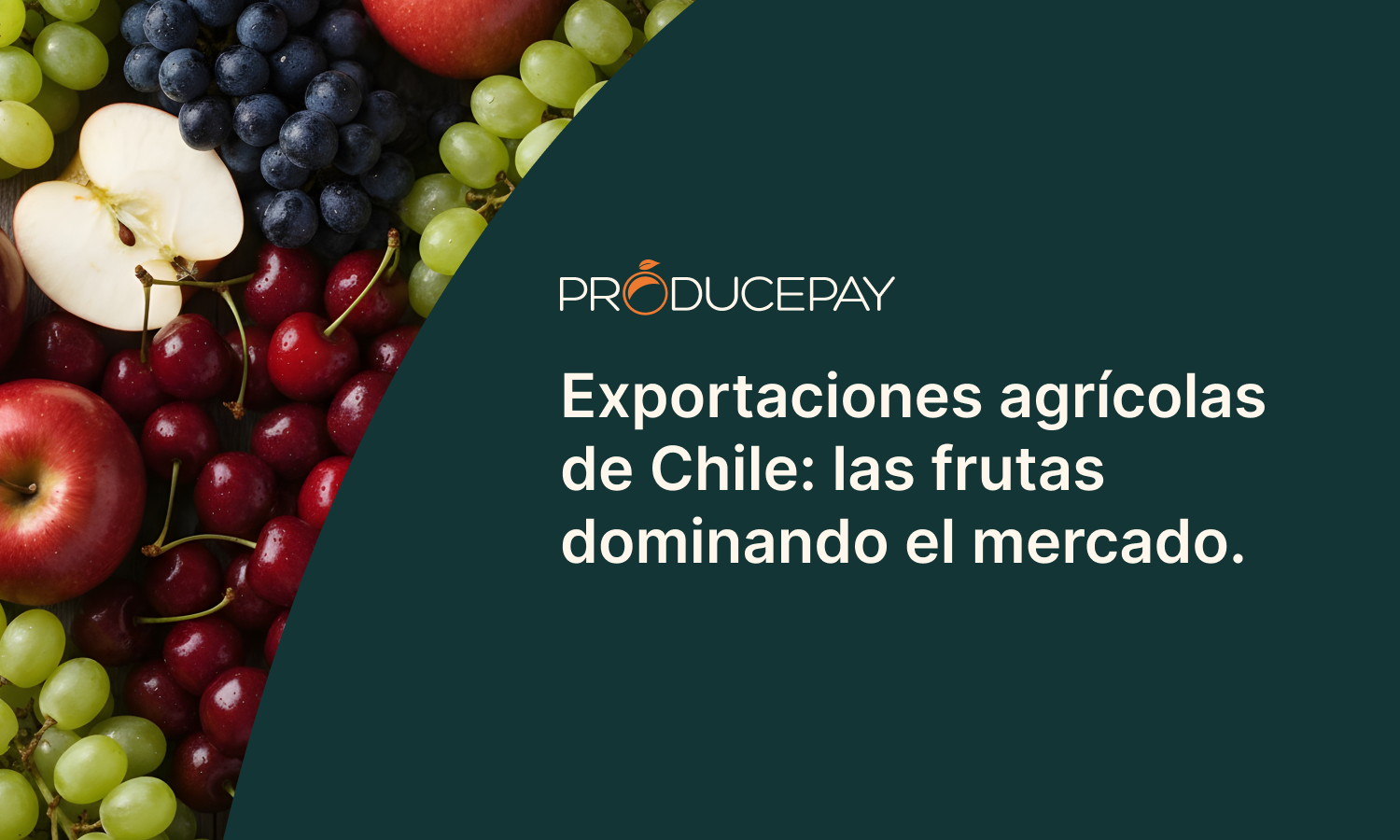 Exportaciones agrícolas Chile 2024