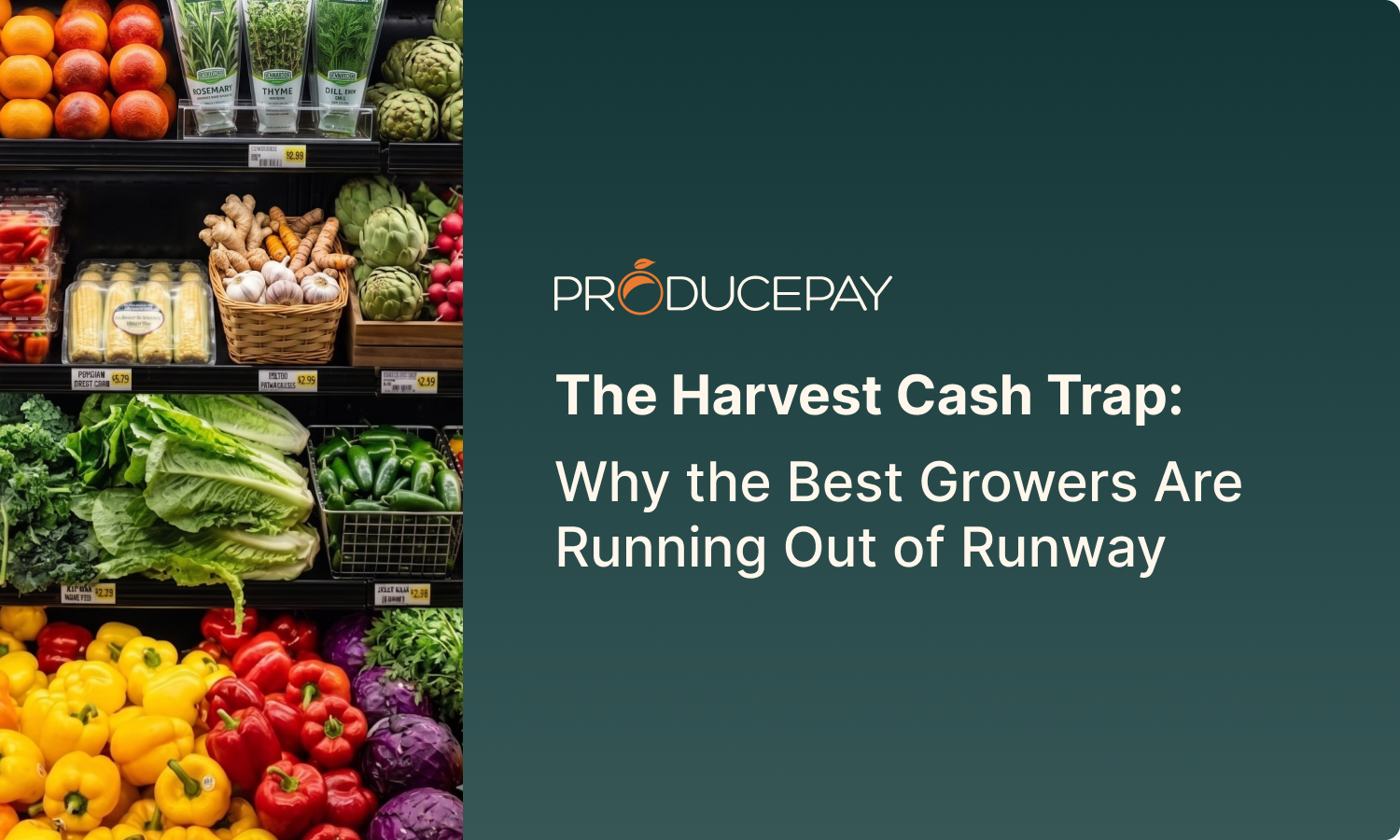Harvest Cash Trap Cover