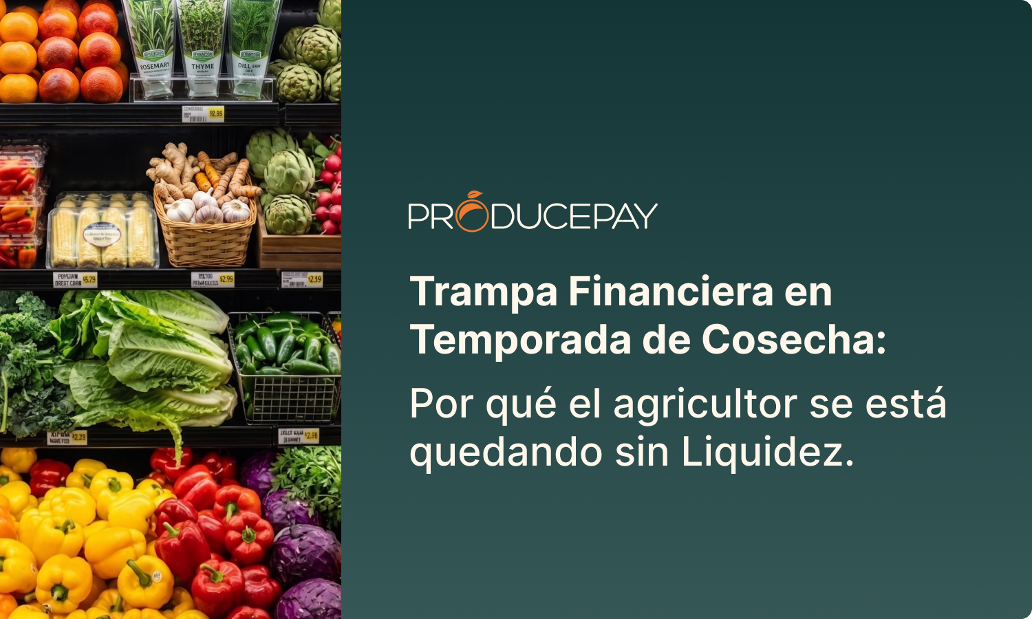 Trampa Financiera Cover