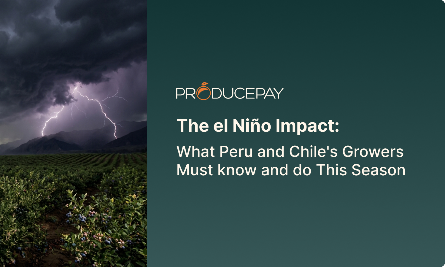 Portada el Nino English