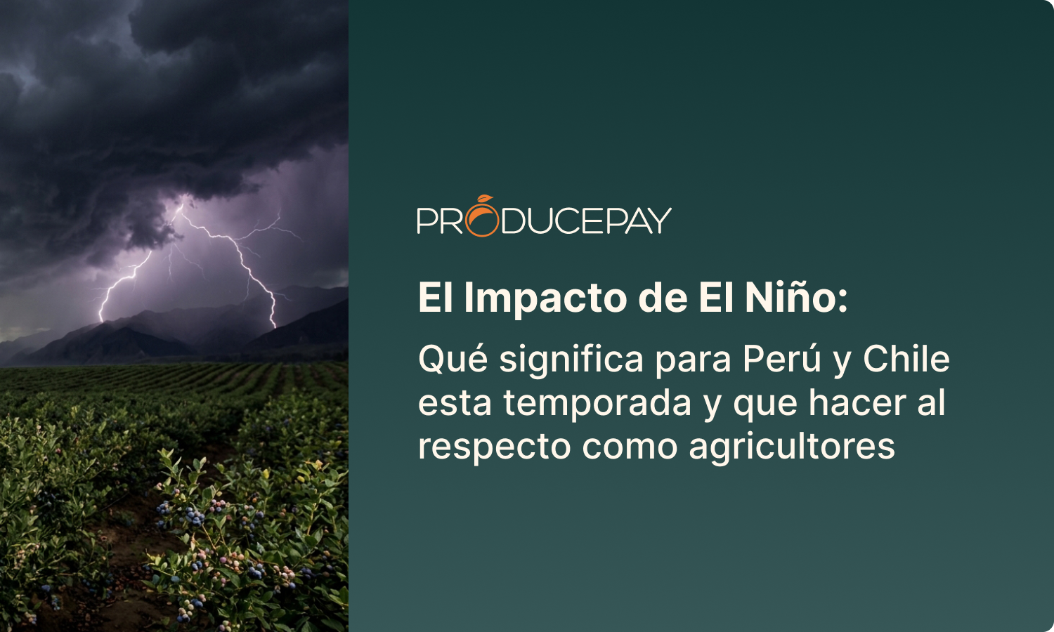 Portada el Nino Español